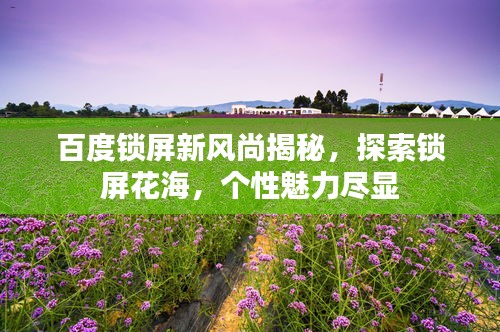 百度锁屏新风尚揭秘，探索锁屏花海，个性魅力尽显