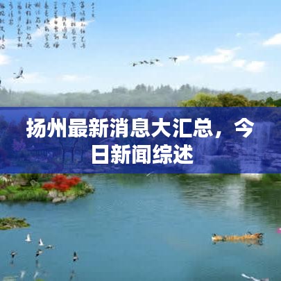 扬州最新消息大汇总，今日新闻综述