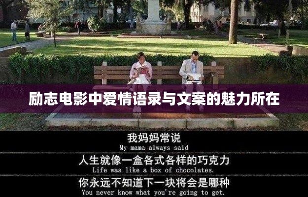 励志电影中爱情语录与文案的魅力所在