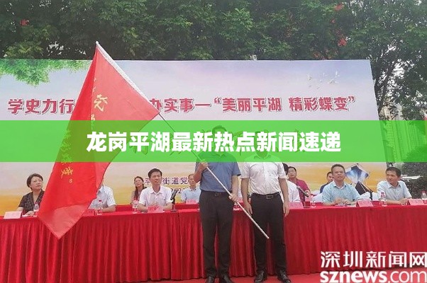 龙岗平湖最新热点新闻速递