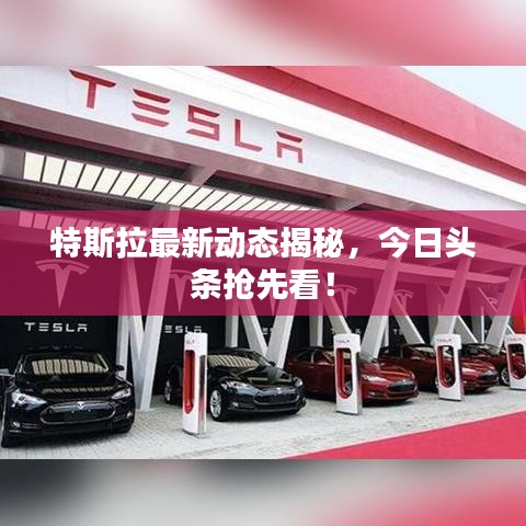 特斯拉最新动态揭秘，今日头条抢先看！