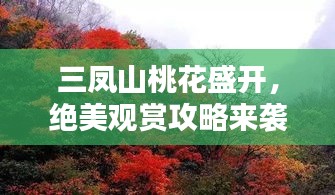 三凤山桃花盛开，绝美观赏攻略来袭！