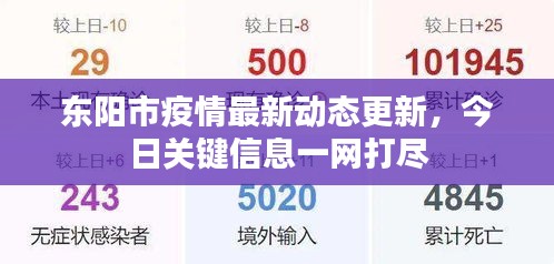 东阳市疫情最新动态更新，今日关键信息一网打尽