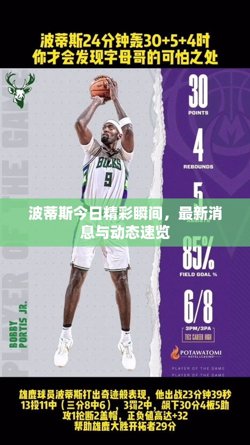 波蒂斯今日精彩瞬间，最新消息与动态速览