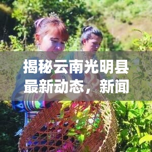 揭秘云南光明县最新动态，新闻头条抢先看