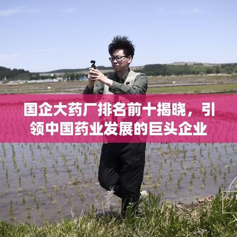 国企大药厂排名前十揭晓，引领中国药业发展的巨头企业