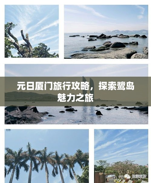 元日厦门旅行攻略，探索鹭岛魅力之旅