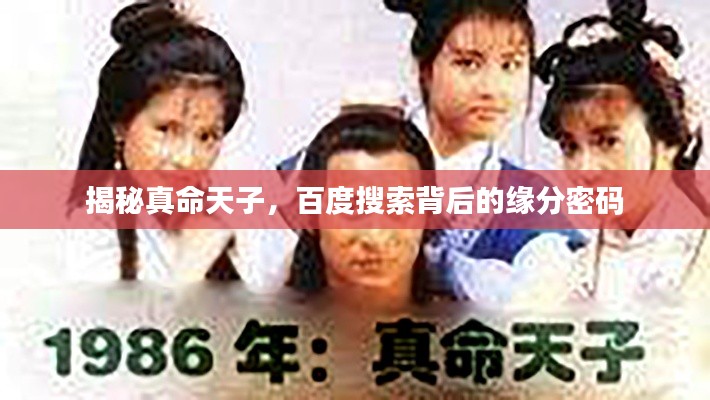 揭秘真命天子，百度搜索背后的缘分密码