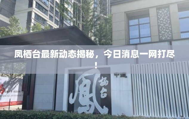 凤栖台最新动态揭秘，今日消息一网打尽！