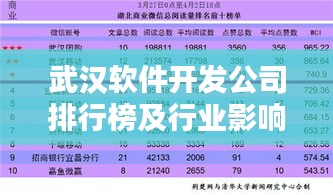 武汉软件开发公司排行榜及行业影响力深度解析