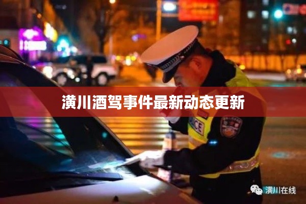 潢川酒驾事件最新动态更新