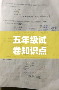 五年级试卷知识点全攻略，百度助力轻松掌握