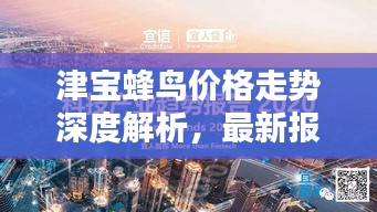津宝蜂鸟价格走势深度解析，最新报告揭示最新动态