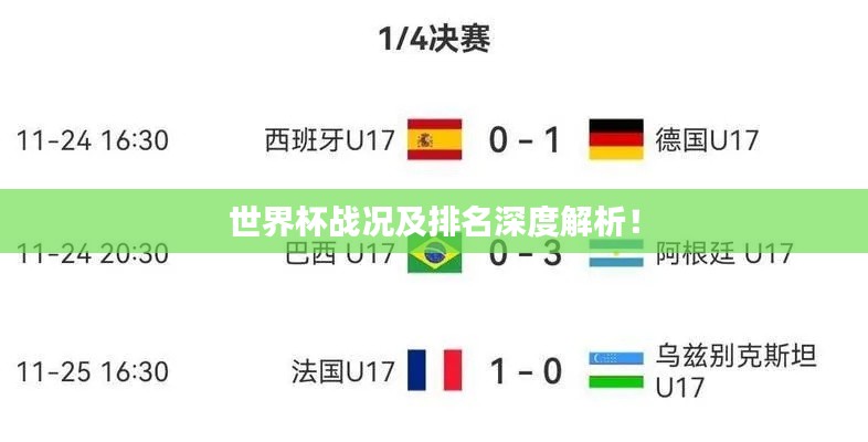 世界杯战况及排名深度解析！