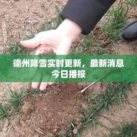 德州降雪实时更新，最新消息今日播报