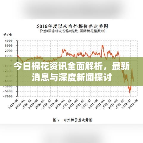 今日棉花资讯全面解析，最新消息与深度新闻探讨