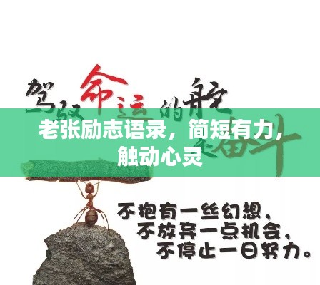 老张励志语录，简短有力，触动心灵
