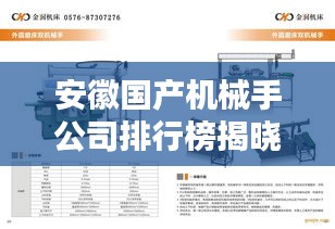 安徽国产机械手公司排行榜揭晓，领先企业一览