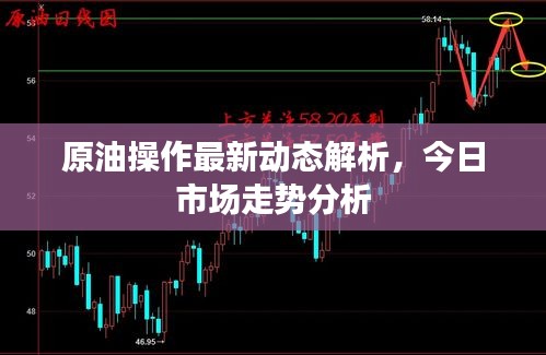 原油操作最新动态解析，今日市场走势分析