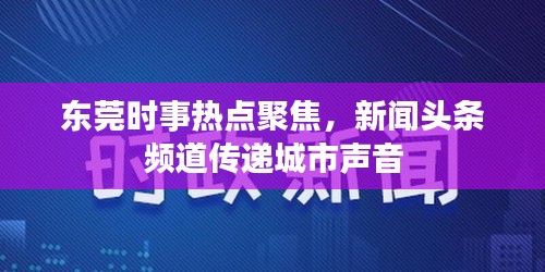 东莞时事热点聚焦，新闻头条频道传递城市声音
