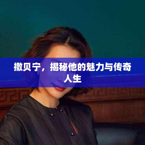 撒贝宁，揭秘他的魅力与传奇人生