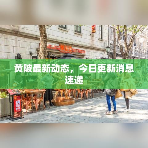 黄陂最新动态，今日更新消息速递