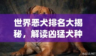 世界恶犬排名大揭秘，解读凶猛犬种榜单