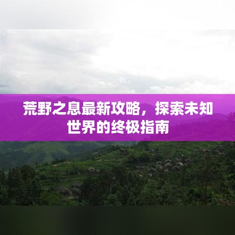 荒野之息最新攻略，探索未知世界的终极指南