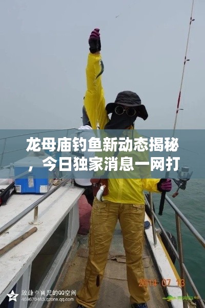 龙母庙钓鱼新动态揭秘，今日独家消息一网打尽！