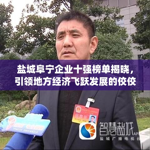 盐城阜宁企业十强榜单揭晓，引领地方经济飞跃发展的佼佼者