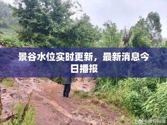 景谷水位实时更新，最新消息今日播报