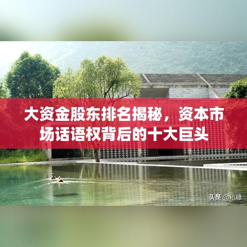 大资金股东排名揭秘，资本市场话语权背后的十大巨头