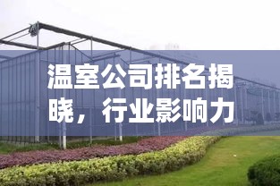 温室公司排名揭晓，行业影响力揭秘！