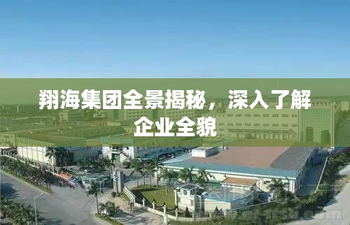 翔海集团全景揭秘，深入了解企业全貌