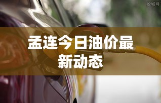 孟连今日油价最新动态
