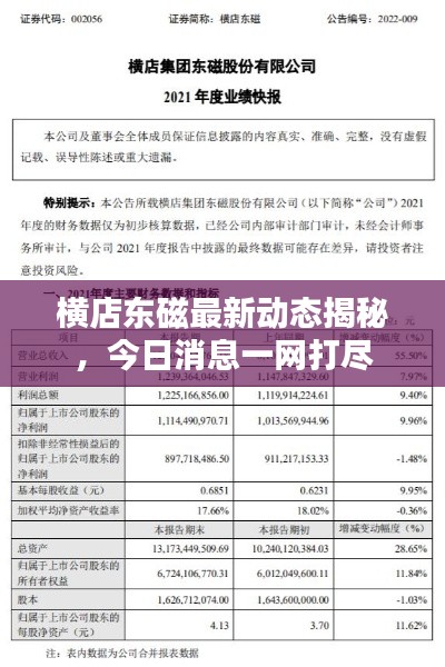横店东磁最新动态揭秘，今日消息一网打尽