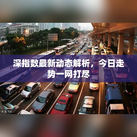 深指数最新动态解析，今日走势一网打尽