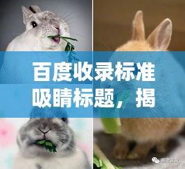 百度收录标准吸睛标题，揭秘兔子真实模样，萌态十足！