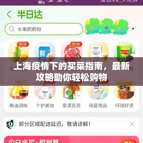 上海疫情下的买菜指南，最新攻略助你轻松购物