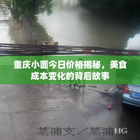 重庆小面今日价格揭秘，美食成本变化的背后故事