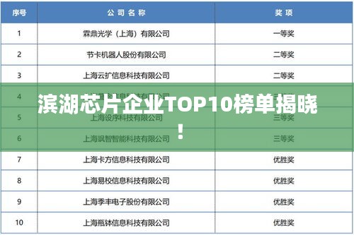 滨湖芯片企业TOP10榜单揭晓！