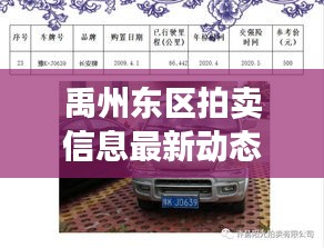 禹州东区拍卖信息最新动态速递