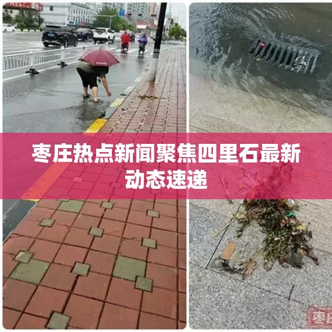 枣庄热点新闻聚焦四里石最新动态速递