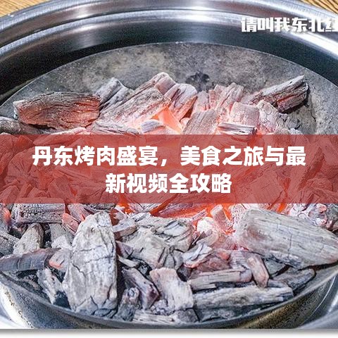 丹东烤肉盛宴，美食之旅与最新视频全攻略