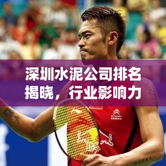 深圳水泥公司排名揭晓，行业影响力不容小觑