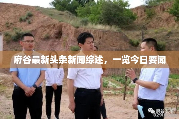 府谷最新头条新闻综述，一览今日要闻