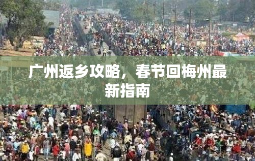 案例见证 第48页