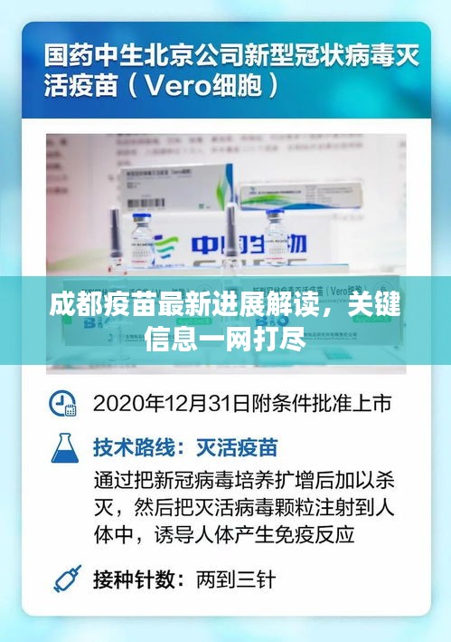 成都疫苗最新进展解读，关键信息一网打尽