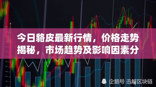 网店开店宝APP 第50页