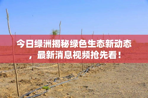 今日绿洲揭秘绿色生态新动态，最新消息视频抢先看！